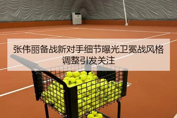 张伟丽备战新对手细节曝光卫冕战风格调整引发关注 - Kaiyun