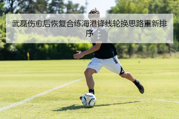 武磊伤愈后恢复合练海港锋线轮换思路重新排序 - Kaiyun